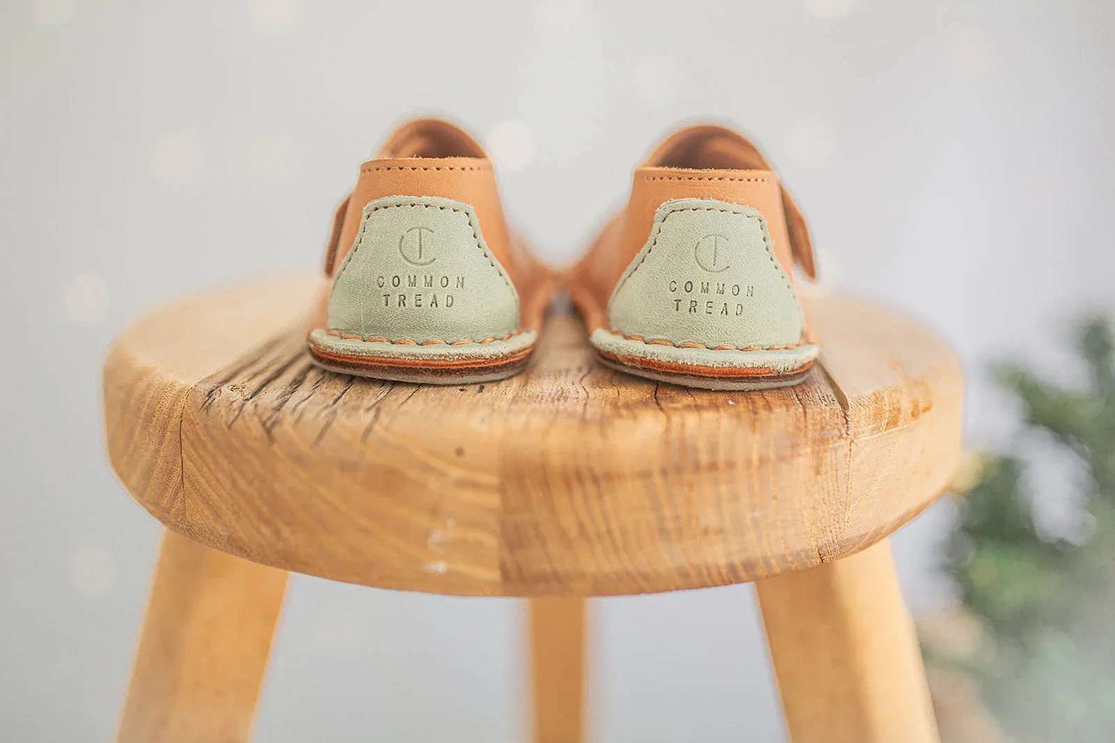 Common Tread Kids Evergreen - Image 16